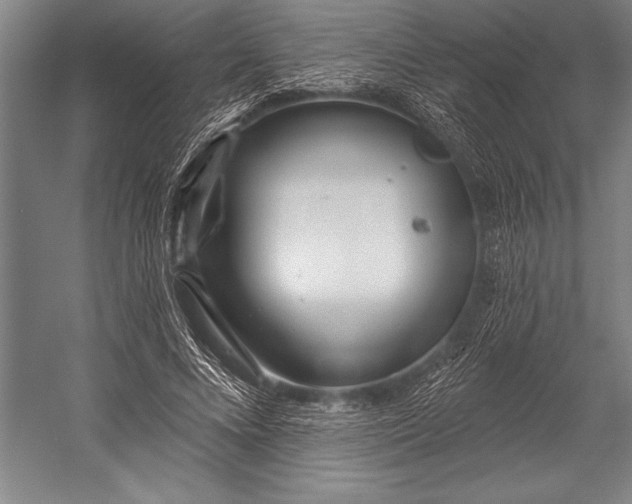 X0000053000688200507221247