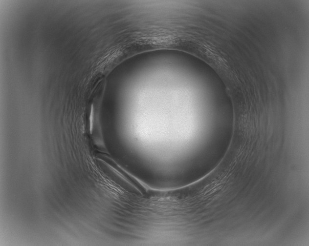 X0000053000689200507221247