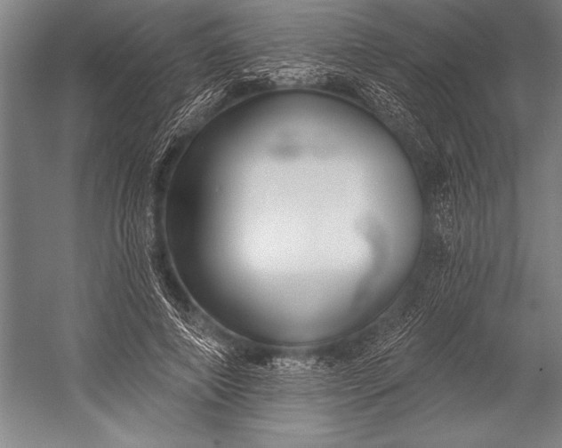 X0000053000690200507221247