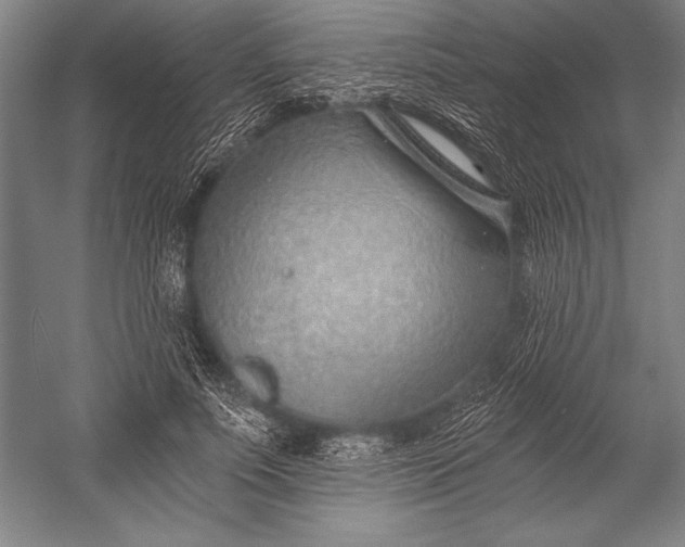 X0000053000691200507221247