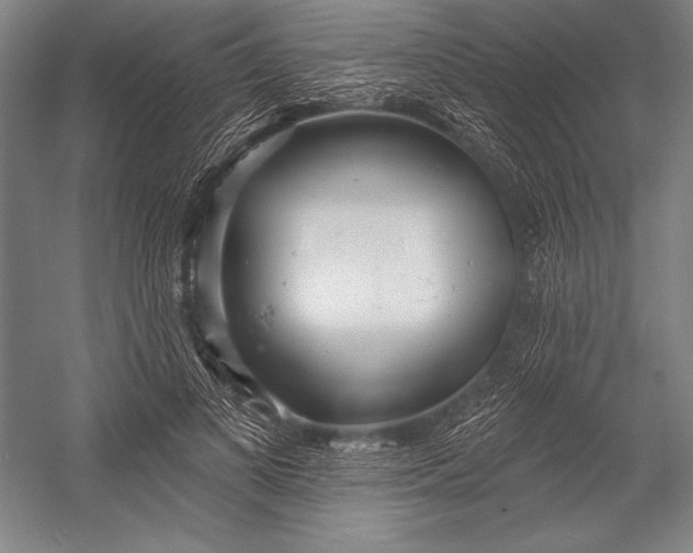 X0000053000693200507221247