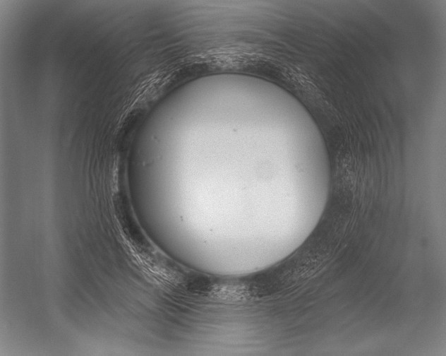 X0000053000694200507221247