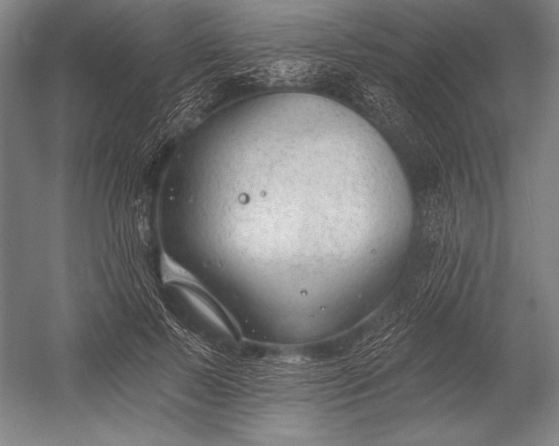 X0000053000695200507221247