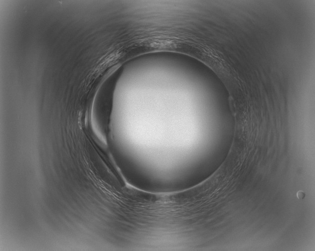 X0000053000696200507221247