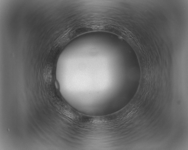 X0000053000697200507221247