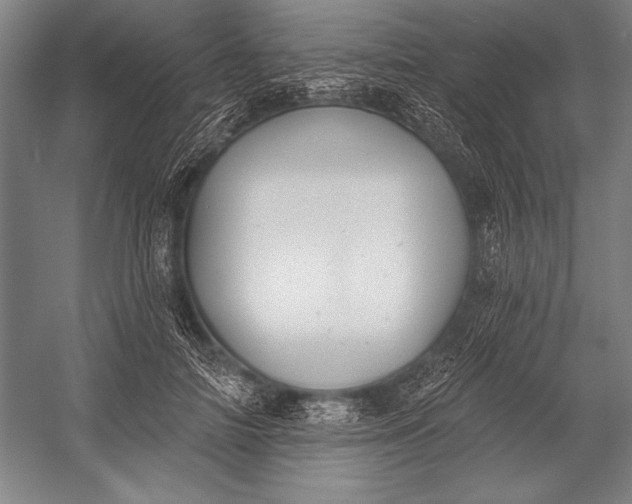 X0000053000698200507221247