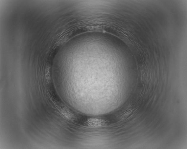 X0000053000699200507221247