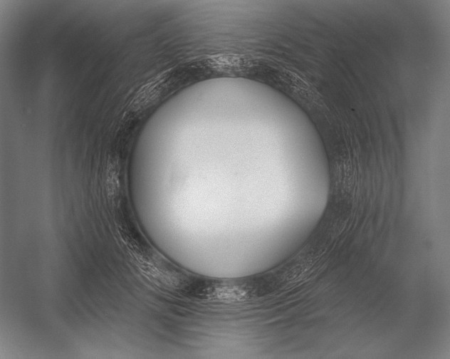 X0000053000702200507221247