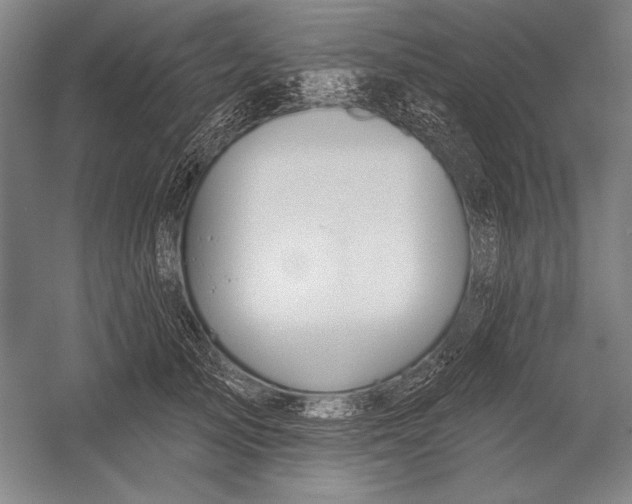 X0000053000705200507221247