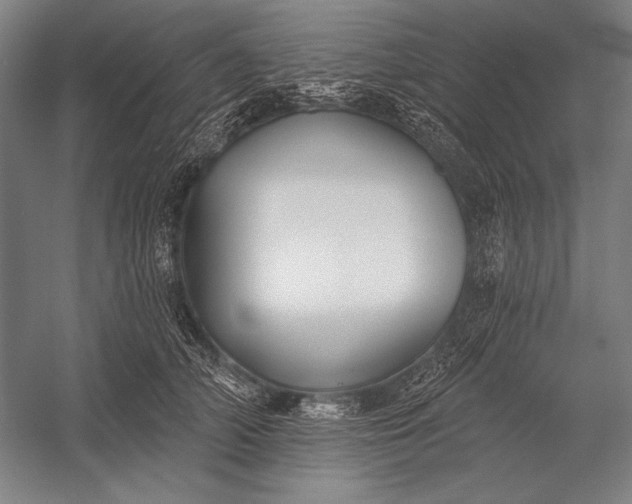 X0000053000706200507221247