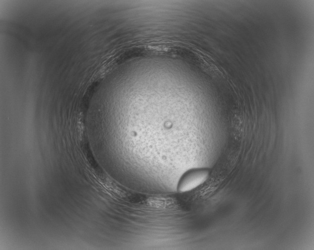 X0000053000707200507221247