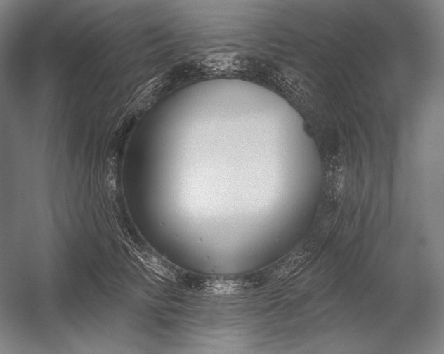 X0000053000710200507221247