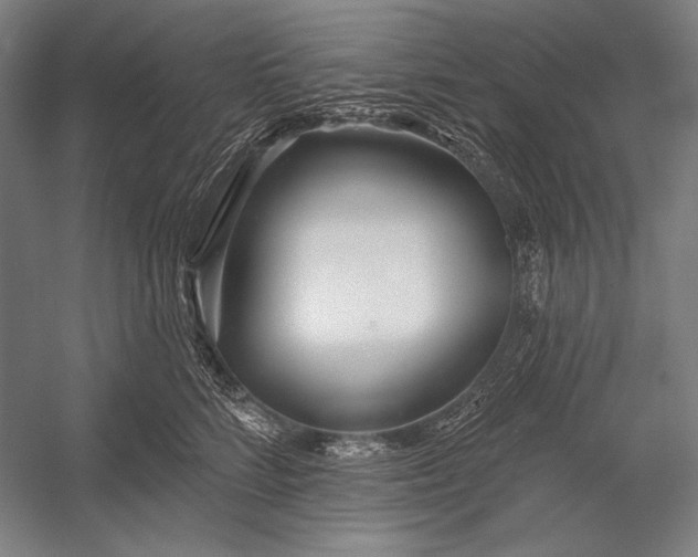 X0000053000712200507221247