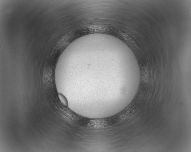 X0000053000713200507221247