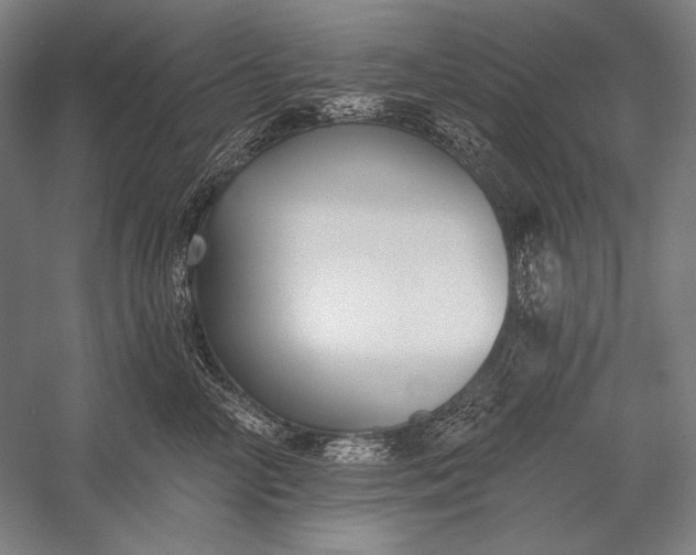 X0000053000714200507221247