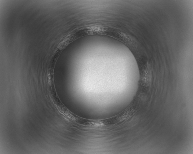 X0000053000715200507221247