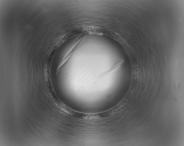 X0000053000716200507221247