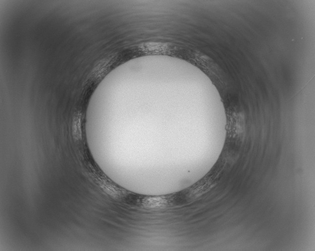 X0000053000717200507221247