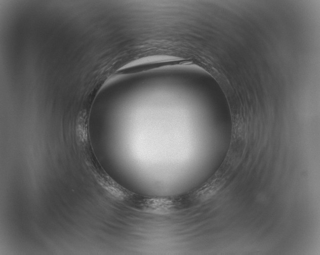 X0000053000719200507221247