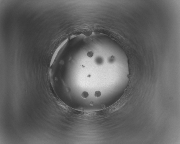 X0000053000720200507221247