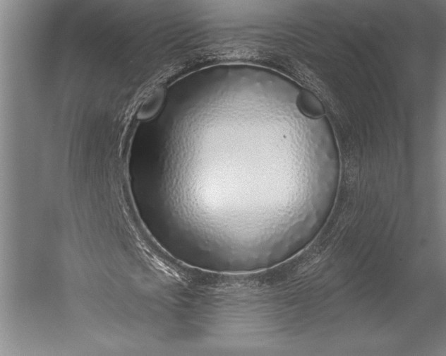 X0000053000721200507221246