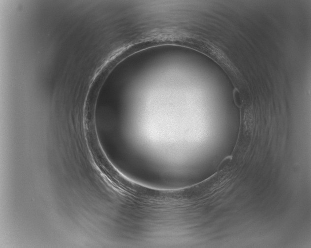 X0000053000722200507221246