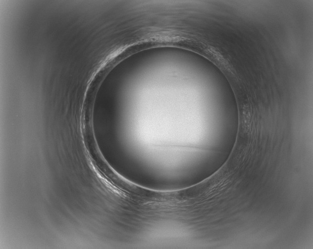 X0000053000726200507221246