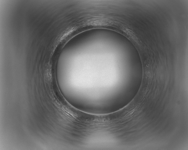 X0000053000727200507221246