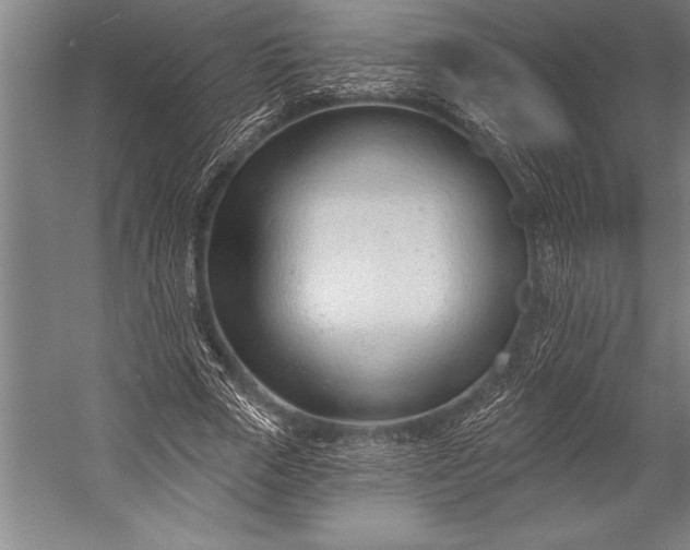 X0000053000729200507221246