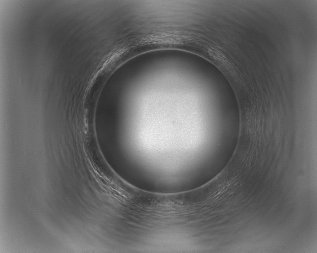 X0000053000731200507221246