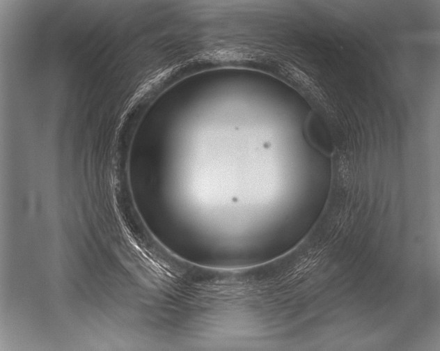 X0000053000732200507221246