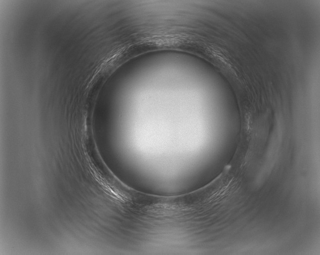 X0000053000733200507221246