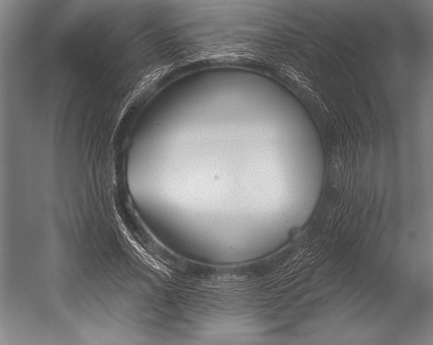 X0000053000734200507221246