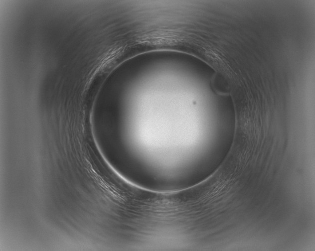 X0000053000735200507221246