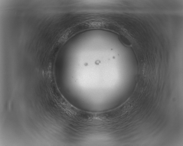 X0000053000737200507221246