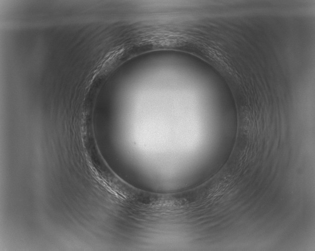 X0000053000738200507221246