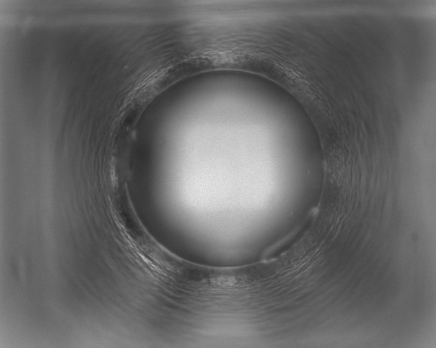 X0000053000740200507221246