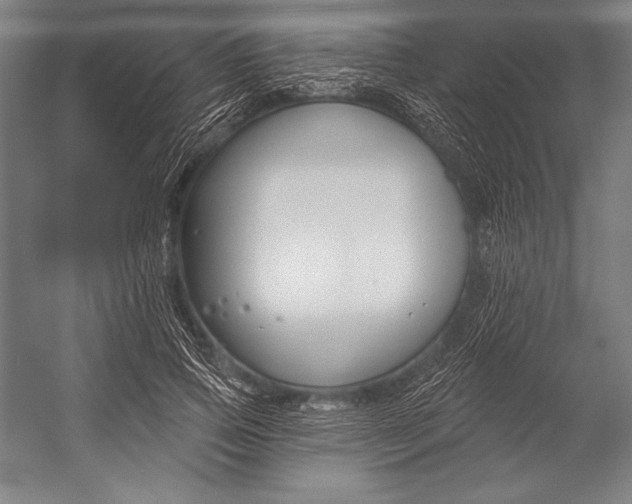 X0000053000741200507221246