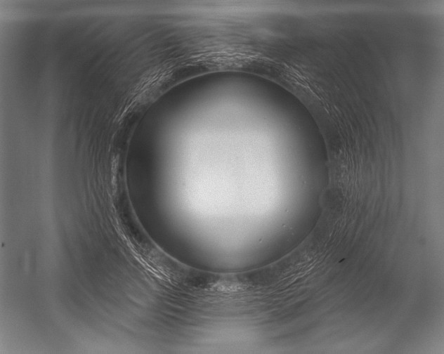 X0000053000742200507221246