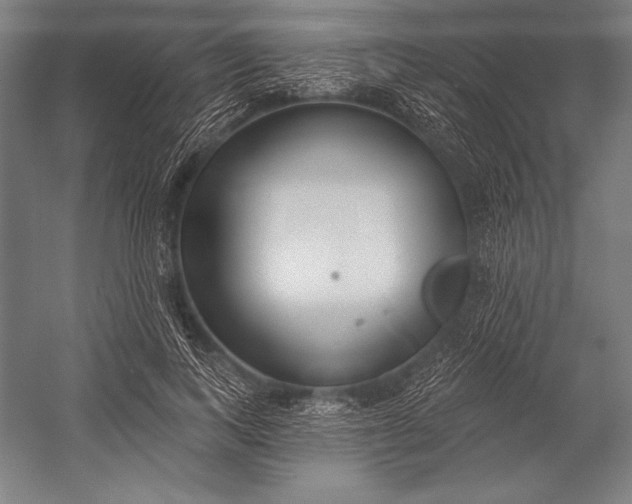 X0000053000743200507221246