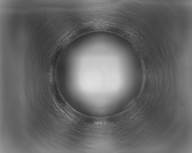 X0000053000744200507221246