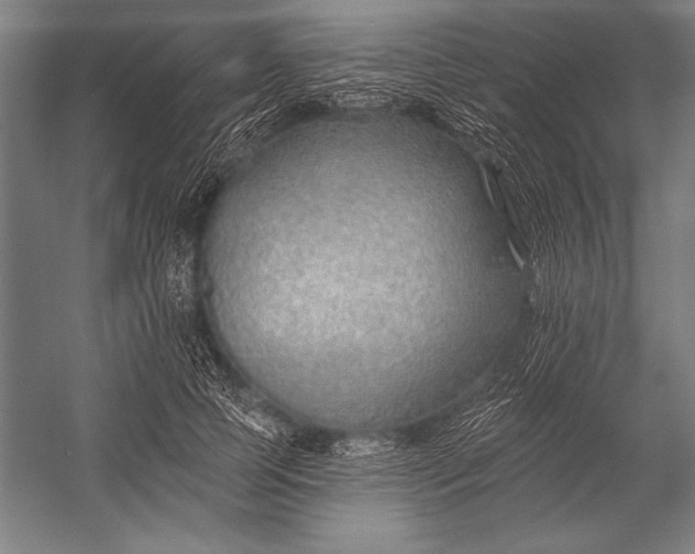 X0000053000745200507221246