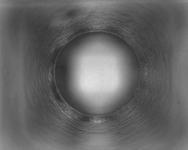 X0000053000746200507221246