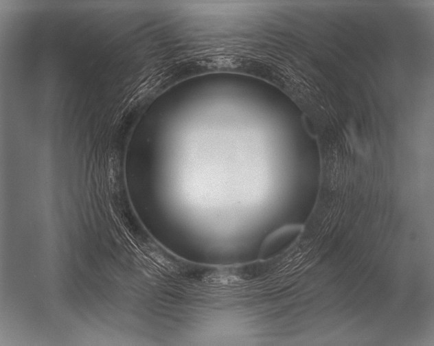 X0000053000747200507221246