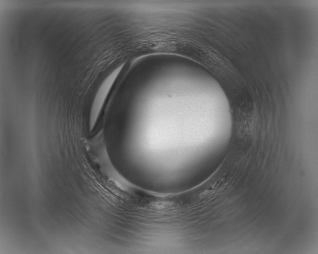 X0000053000748200507221246