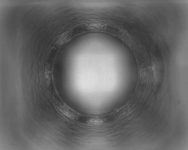 X0000053000749200507221246