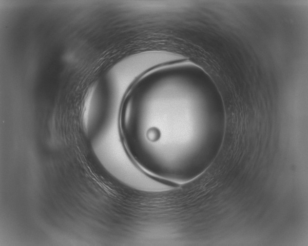 X0000053000750200507221246