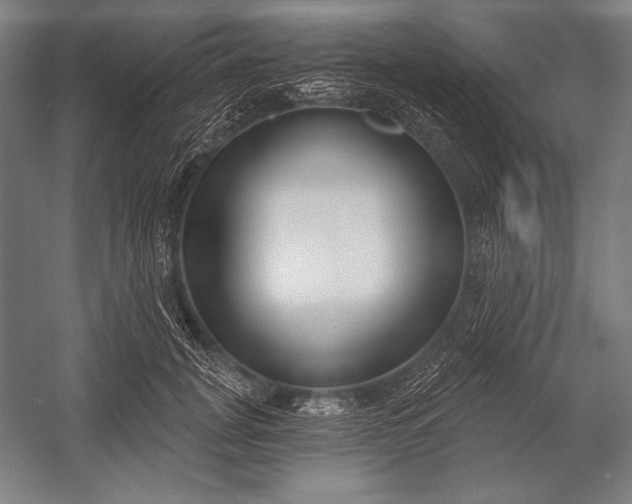 X0000053000751200507221247