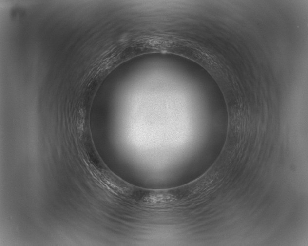 X0000053000752200507221247