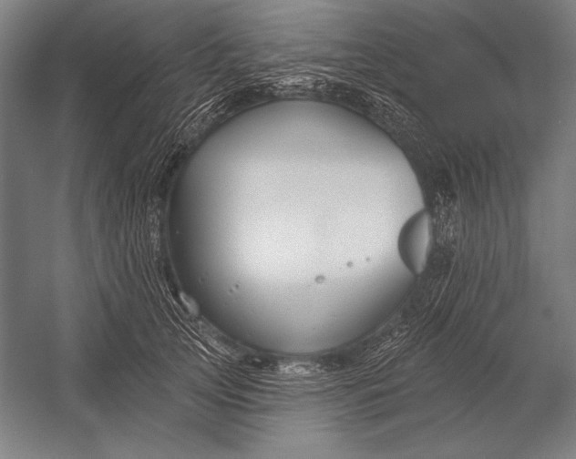 X0000053000753200507221247